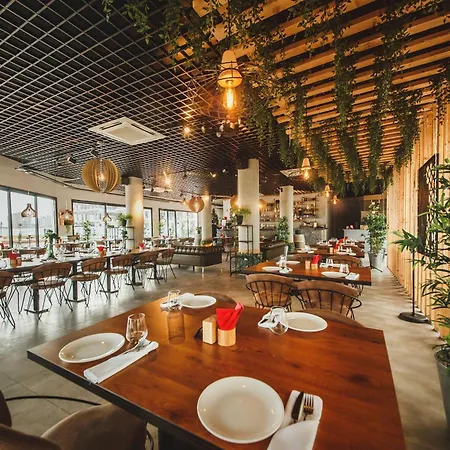 Cornelius Cosy In Caesar & * Perivolia tou Trikomou