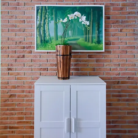 Cornelius Cosy In Caesar & * Perivolia tou Trikomou